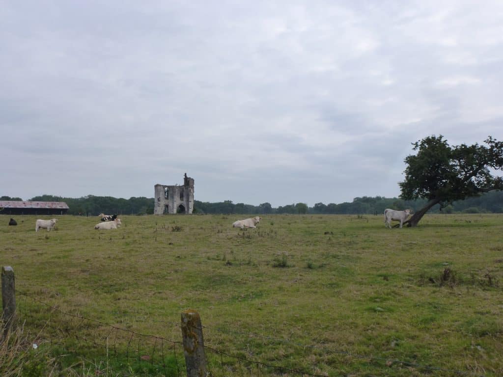 L'abbaye de Clairmarais, neuf siècles d'histoire cistercienne dans le marais