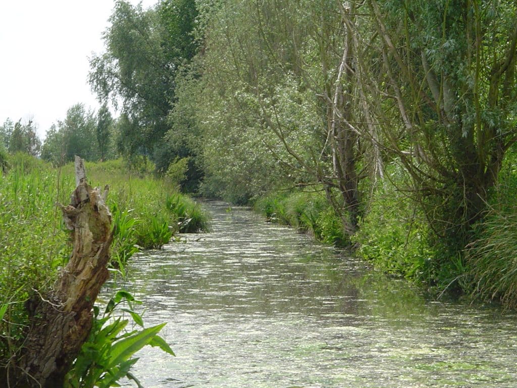 Le Haut-Pont et son cortège nautique, l'âme maraîchère de Saint-Omer