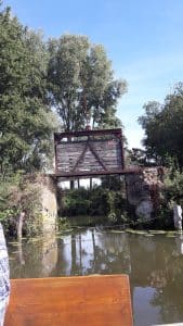 Marie-Grouette, la sorcière des marais qui hante l'Audomarois