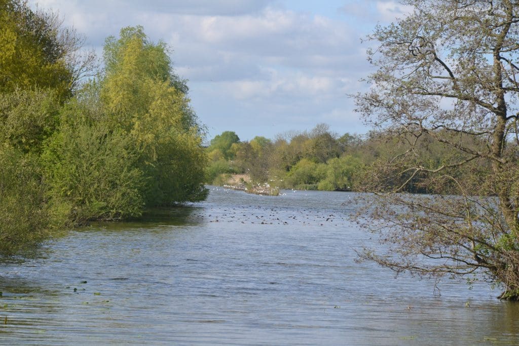 Nieurlet, les étangs de Booneghem et la porte du Romelaëre
